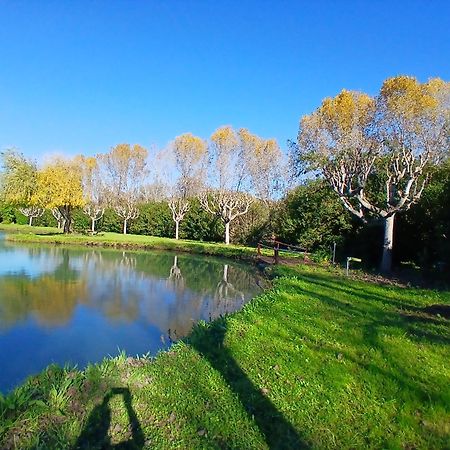 Domaine Du Lac De La Vallee La Roquette-sur-Siagne Luaran gambar