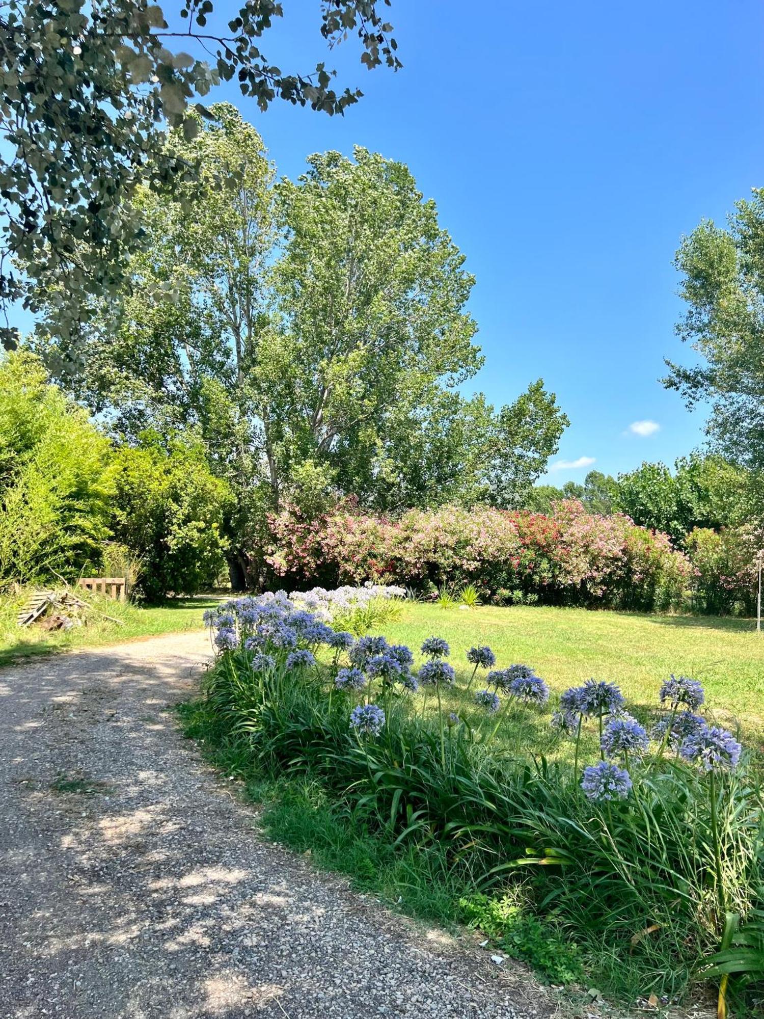 Domaine Du Lac De La Vallee La Roquette-sur-Siagne Luaran gambar